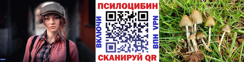 Галлюциногенные грибы Cubensis  блэк спрут сайт  Спасск-Рязанский 